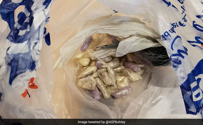 Look What The Cat Dragged In... A Bag Full Of Drugs