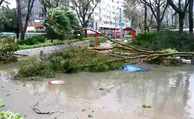 Hong Kong, Southern China Mop Up After Super Typhoon Mangkhut