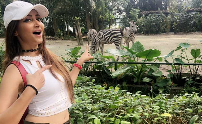 सलमान खान की एक्ट्रेस ने 'वर्ल्ड टूरिज्म डे' पर शेयर की हसीन यादें, बोलीं- यादगार रहा वो सफर...