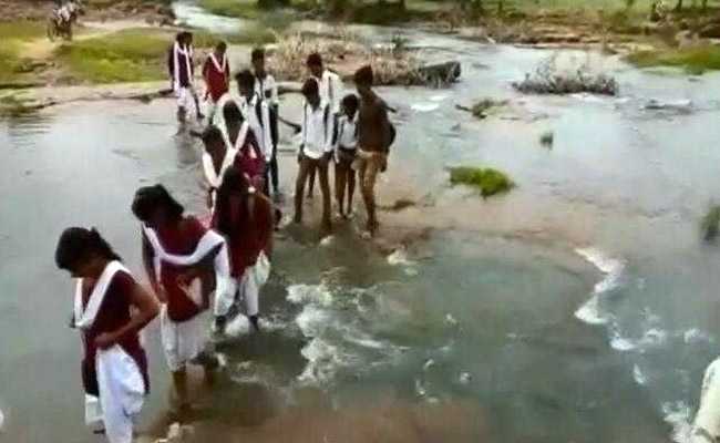 Children In Madhya Pradesh Forced To Cross Stream To Reach School. Watch