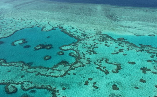 In Great Barrier Reef, Tour Agents Accuse Scientists Of Scaremongering