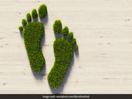 Earth Day 2024: Importance Of Reducing Carbon Footprint Earth Day 2024: Importance Of Reducing Carbon Footprint
