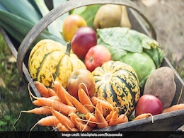 Foods For Healthy Lungs: फेफड़ों को हेल्दी रखने के लिए जरूर खाएं ये 7 विटामिन ए रिच फूड्स, फेफड़ों की बीमारियां रहेंगी दूर! Foods For Healthy Lungs: फेफड़ों को हेल्दी रखने के लिए जरूर खाएं ये 7 विटामिन ए रिच फूड्स, फेफड़ों की बीमारियां रहेंगी दूर!