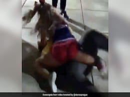 लड़की ने Cheerleader को कहा कुछ ऐसा, बीच सड़क पर जड़ दिए मुक्के, वायरल हुआ VIDEO लड़की ने Cheerleader को कहा कुछ ऐसा, बीच सड़क पर जड़ दिए मुक्के, वायरल हुआ VIDEO
