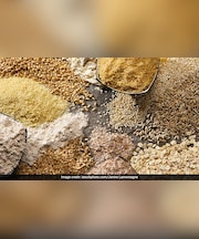 गेहूं के आटे में ये 3 चीजें मिला लो फिर देखो कमाल, हमेशा कंट्रोल में रहेगी Diabetes फिर कभी नहीं बढ़ेगी