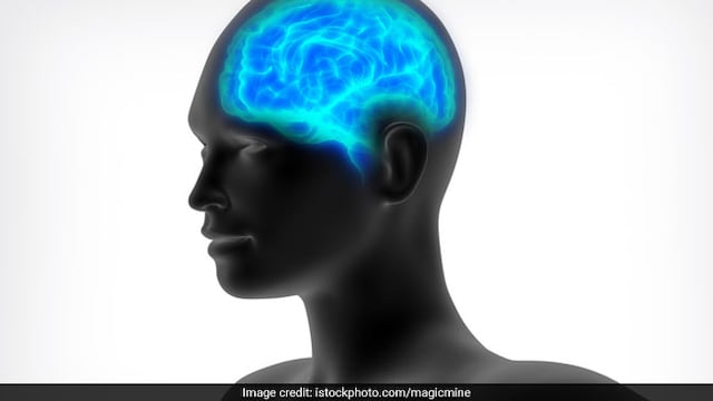 Modifications in the structure of a specific gene have a negative impact on individual
