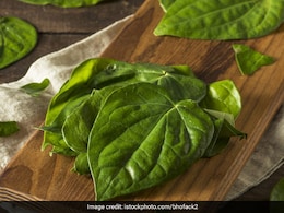 Home remedy Uric acid : इस हरे रंग का पत्ता प्रयोग करने से यूरिक एसिड हो जाएगा जड़ से खत्म Home remedy Uric acid : इस हरे रंग का पत्ता प्रयोग करने से यूरिक एसिड हो जाएगा जड़ से खत्म