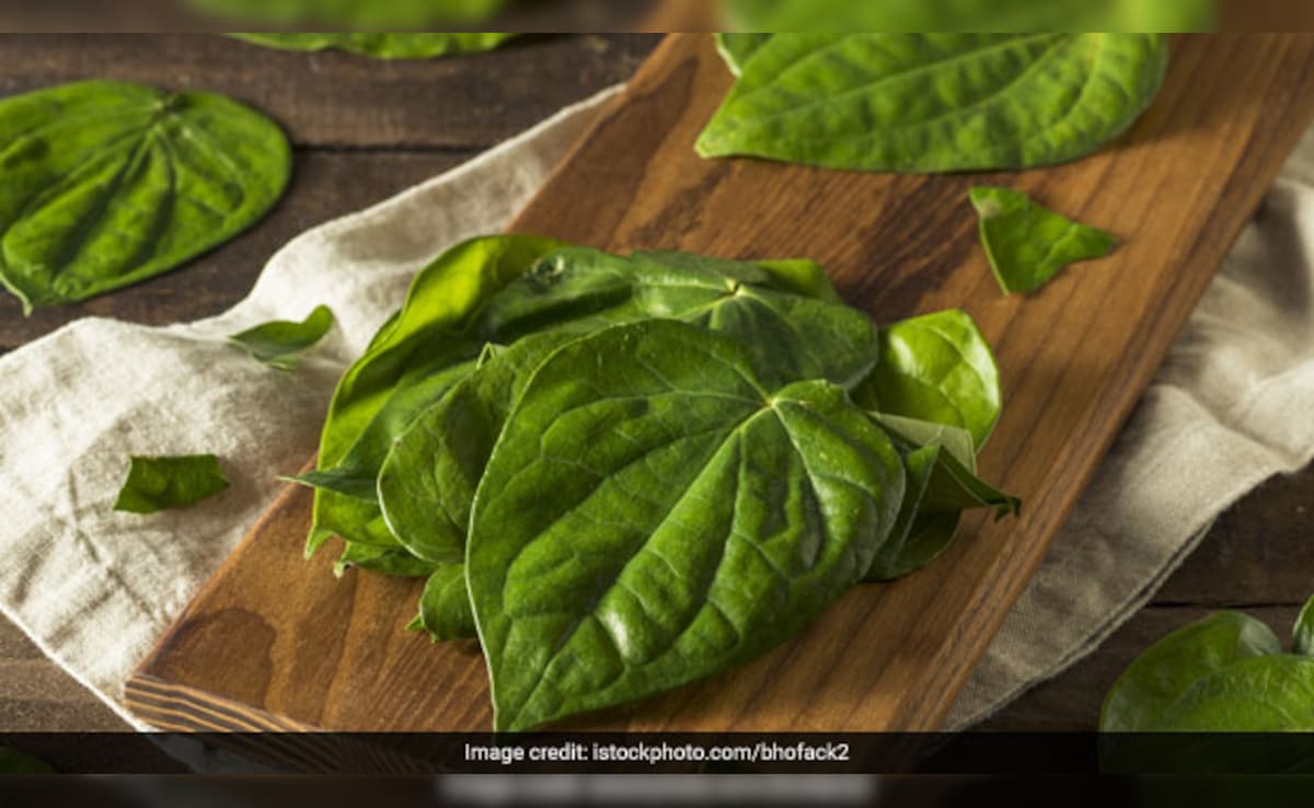 Latest and Breaking News on NDTV