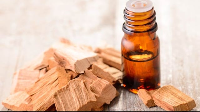 Sandalwood oil is burnt with the pyre when cremating the dead