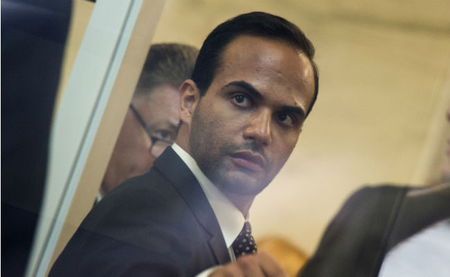 Ex-Trump Campaign Aide Jailed For 14 Days In Russia Probe