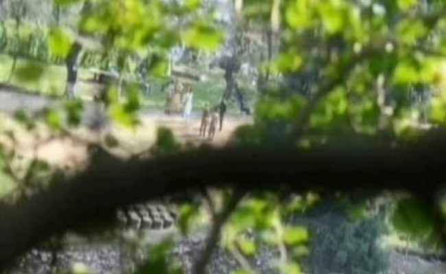 New Video Of 2016 Surgical Strikes Shows Assault On Terror Launch Pads