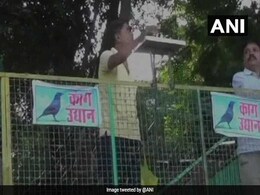 Madhya Pradesh Gets First Exclusive Crow Park Madhya Pradesh Gets First Exclusive Crow Park