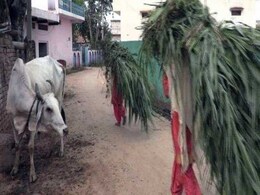 Ahead Of Elections, Campaign Of Communal Rhetoric In Rajasthan's Alwar Ahead Of Elections, Campaign Of Communal Rhetoric In Rajasthan's Alwar