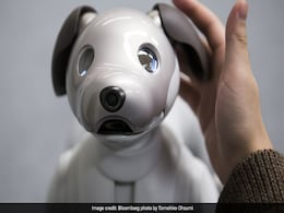 Aibo The Robot Dog Will Melt Your Heart With Mechanical Precision Aibo The Robot Dog Will Melt Your Heart With Mechanical Precision