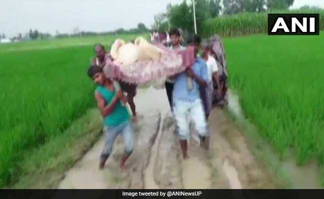 No Roads, Pregnant Woman Carried On Cot To Hospital In UP's Etawah