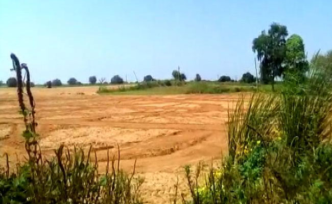 In Haryana Gang Rape, Another Army Man, 2 Others Arrested