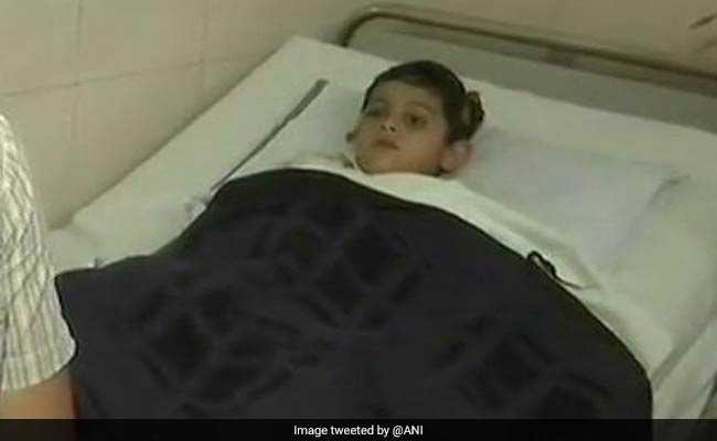 Stray Dogs Attack 3-Year-Old Boy In Bhopal