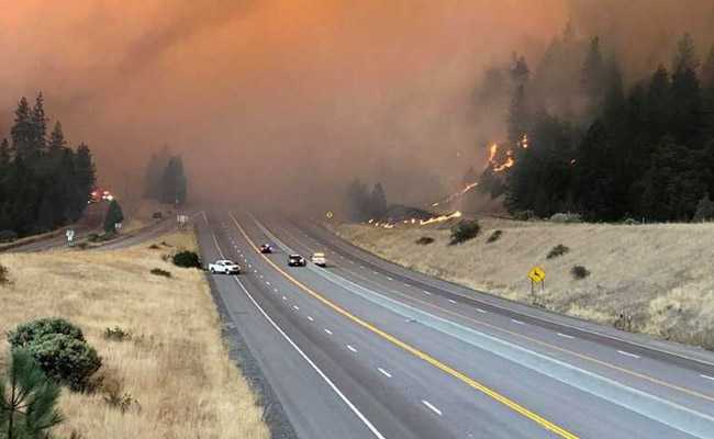 50 Dead In California Wildfire As Firefighters Continue To Battle Blazes