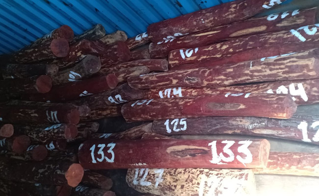 दिल्ली में अंतरराष्ट्रीय चंदन तस्कर गिरोह का भंडाफोड़, 3 गिरफ्तार