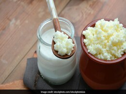 Indigestion से रहते हैं परेशान? पाचन और इम्यूनिटी में सुधार के लिए इन 7 प्रोबायोटिक फूड्स का सेवन करें Indigestion से रहते हैं परेशान? पाचन और इम्यूनिटी में सुधार के लिए इन 7 प्रोबायोटिक फूड्स का सेवन करें
