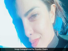 Priyanka Chopra's California 'Carfie' Is Winning The Internet And How Priyanka Chopra's California 'Carfie' Is Winning The Internet And How