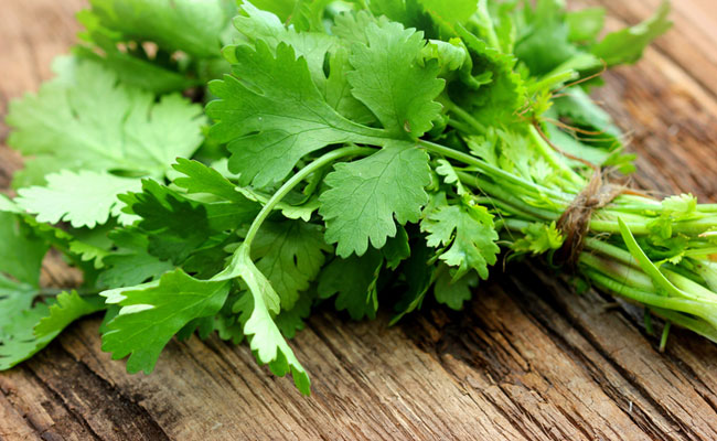 Coriander For Health: डायबिटीज रोगियों के लिए फायदेमंद है हरा धनिया, जानें 5 शानदार लाभ!