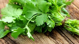 Brilliant Hack To Remove Coriander Leaves From Stem Gets 147 Million Views