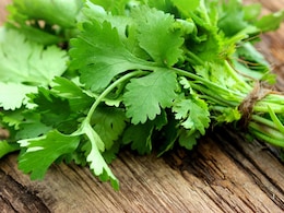 इस आसान हैक की मदद से मिनटों में निकालें धनिया की पत्तियां, यहां देखें "Brilliant" हैक इस आसान हैक की मदद से मिनटों में निकालें धनिया की पत्तियां, यहां देखें "Brilliant" हैक