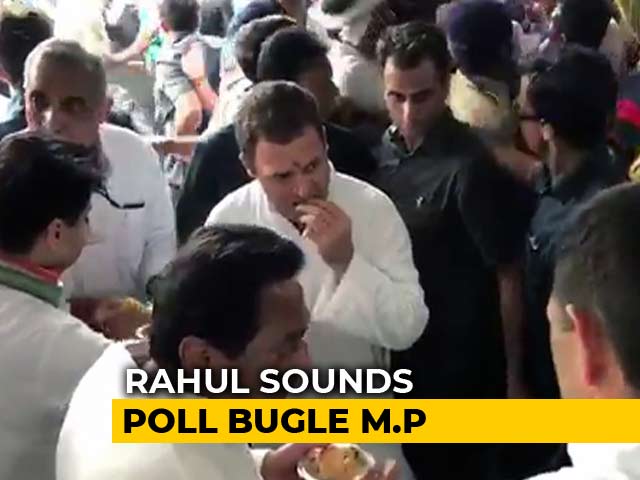 Amid Campaign For Madhya Pradesh Polls, Rahul Gandhi's <i>Chai</i> Moment