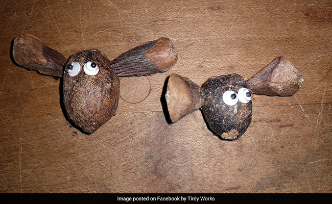 Artwork Made From Moose Poop Is A Surprise Hit Online