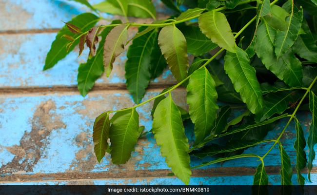Neem For Beautiful Skin: 5 Neem Face Washes To Try