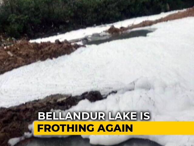 In Bengaluru, 10-Foot-High Froth At Bellandur Lake After All-Nighter Rain