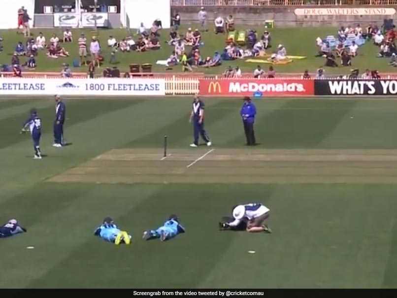 JLT Cup: Bees Halt Play Between New South Wales And Victoria. Watch Video