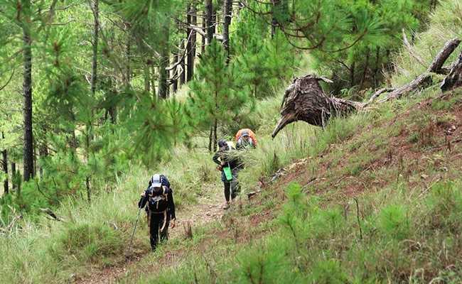 3 Trekkers Missing In Himachal Pradesh's Lahaul-Spiti, Search On