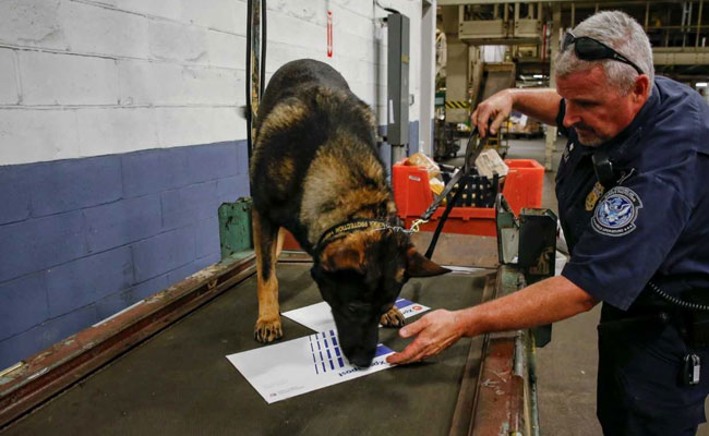 Ordering Opioids Online? Mail Carrier May Also Deliver Handcuffs