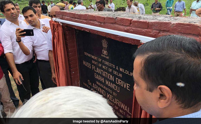 Arvind Kejriwal Launches Mega Drive To Plant 5 Lakh Saplings In A Day
