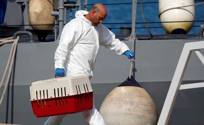 Aquarius Migrants And A Dog, Disembark In Malta After Long Wait At Sea