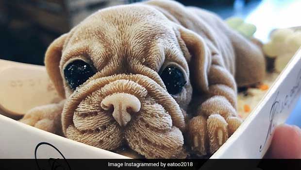 People Are Freaking Out Over These Puppy Shaped Ice-creams That Look Too Real To Eat!