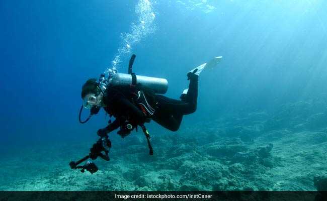 "Discovery Of The Decade": Centuries-Old Shipwreck Found In Portugal