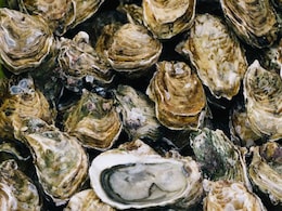 Here's Why Researchers Are Looking At Oysters For Tracking Pollution Here's Why Researchers Are Looking At Oysters For Tracking Pollution