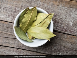 तेज पत्ता खाने के फायदे और नुकसान, सेवन करने का सही तरीका तेज पत्ता खाने के फायदे और नुकसान, सेवन करने का सही तरीका