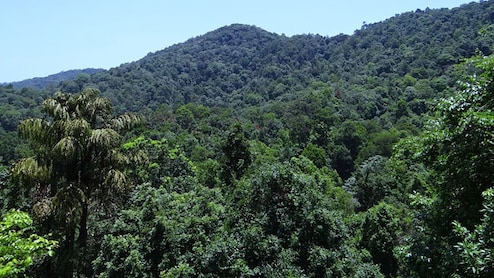 Supreme Court Rejects Salar Jung III Heirs' Claim To Forest Land In Telangana