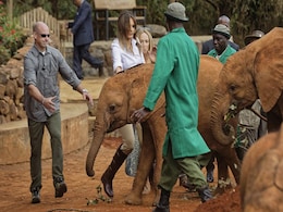 Melania Trump Shoved By Playful Baby Elephant In Kenya Melania Trump Shoved By Playful Baby Elephant In Kenya