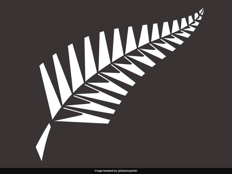 New Zealand Cricket Association Adds Sexual Consent Guidelines In Players' Handbook