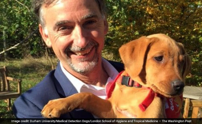 Sniffer Dogs Could Help Identify And Eradicate Malaria Sniffer Dogs Could Help Identify And Eradicate Malaria