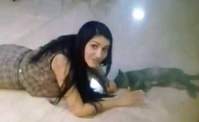 Video: सपना चौधरी खेल रही थीं बिल्ली से, तभी बातों-बातों में कह बैठीं दिल की बात और फिर...