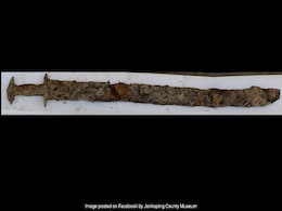 Girl, 8, Finds 1,500-Year-Old Sword While Swimming In Swedish Lake Girl, 8, Finds 1,500-Year-Old Sword While Swimming In Swedish Lake