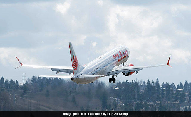 Indonesian Plane With 189 On Board Had Asked To Return To Base