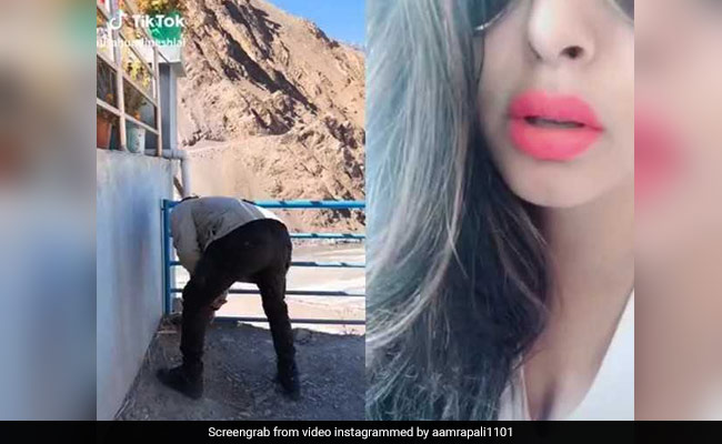 आम्रपाली दुबे के प्यार में झाडू लगाने और बर्तन मांजने पर मजबूर हुए ये भोजपुरी सुपरस्टार, Video में झलका दर्द