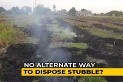 No Manpower Or Machinery, Will Burn Crop Residue, Say Punjab Farmers No Manpower Or Machinery, Will Burn Crop Residue, Say Punjab Farmers